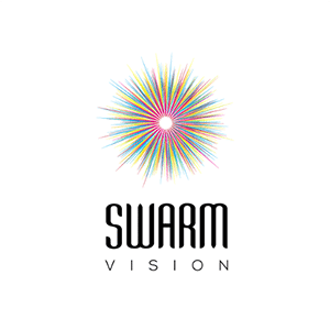 Swarm Vision